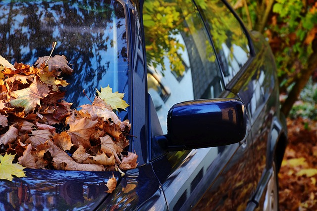 Podzimní úklid v autě